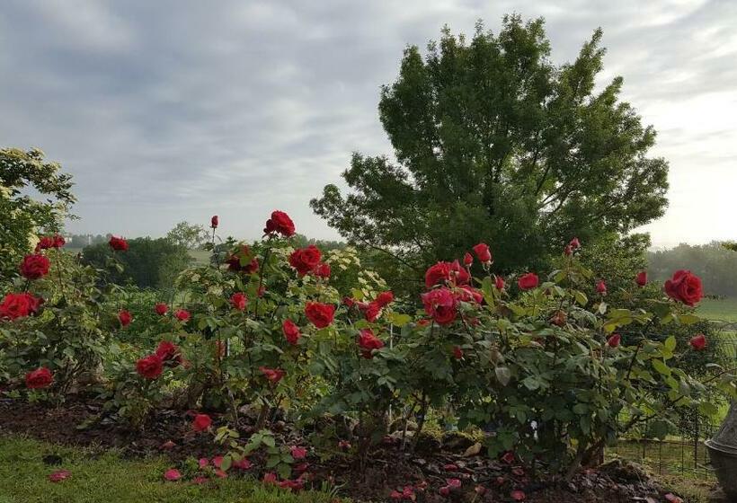 ペンション Chambres D Hôtes Lamourio