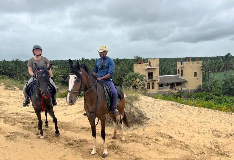 بنسيون Dune Towers