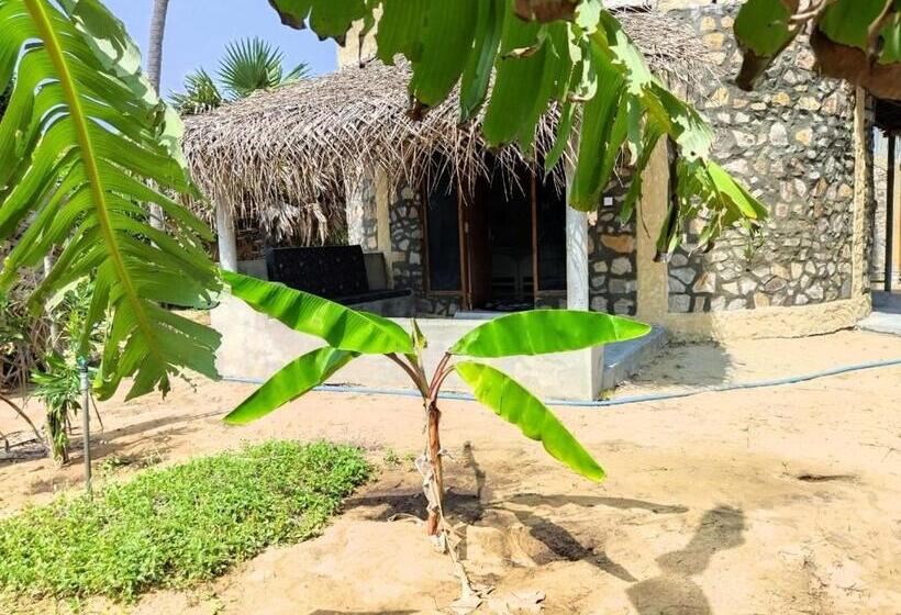 بنسيون Dune Towers