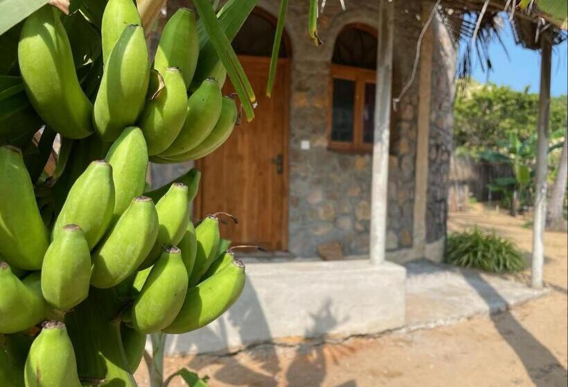 بنسيون Dune Towers