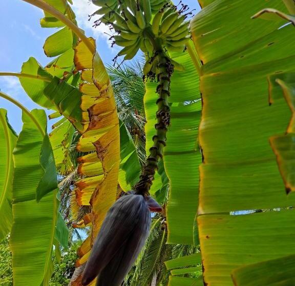 بنسيون Dune Towers
