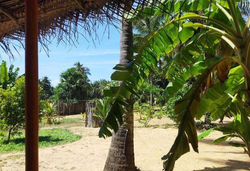 بنسيون Dune Towers