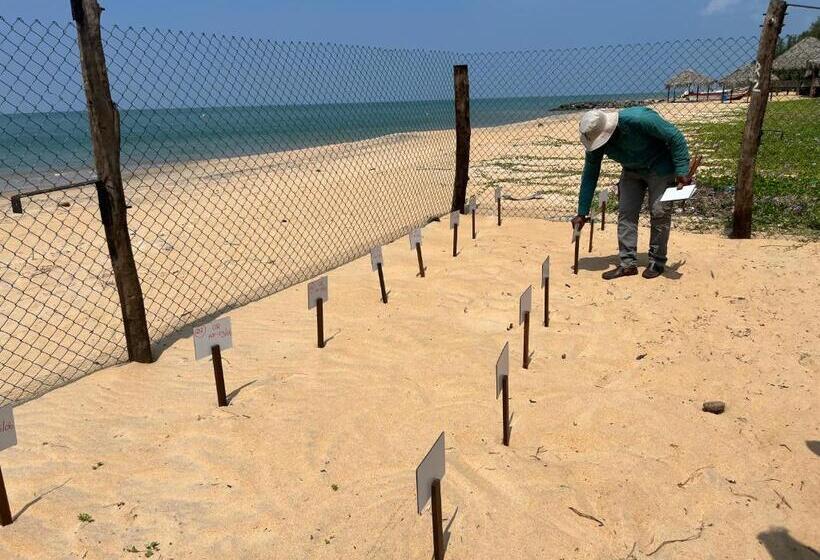 بنسيون Dune Towers