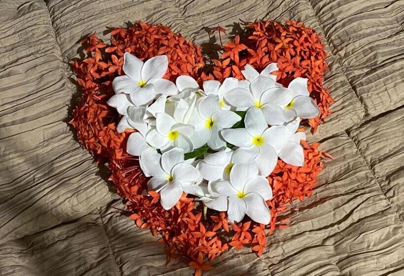 بنسيون Dune Towers