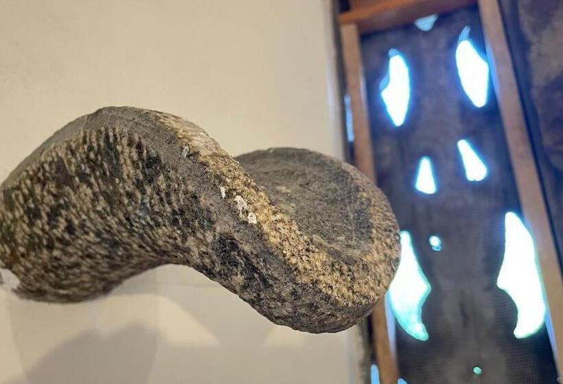 بنسيون Dune Towers