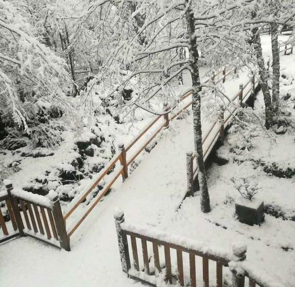 פנסיון Estación Benedicto