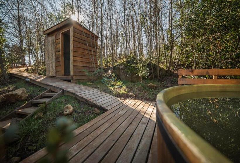 פנסיון Estación Benedicto