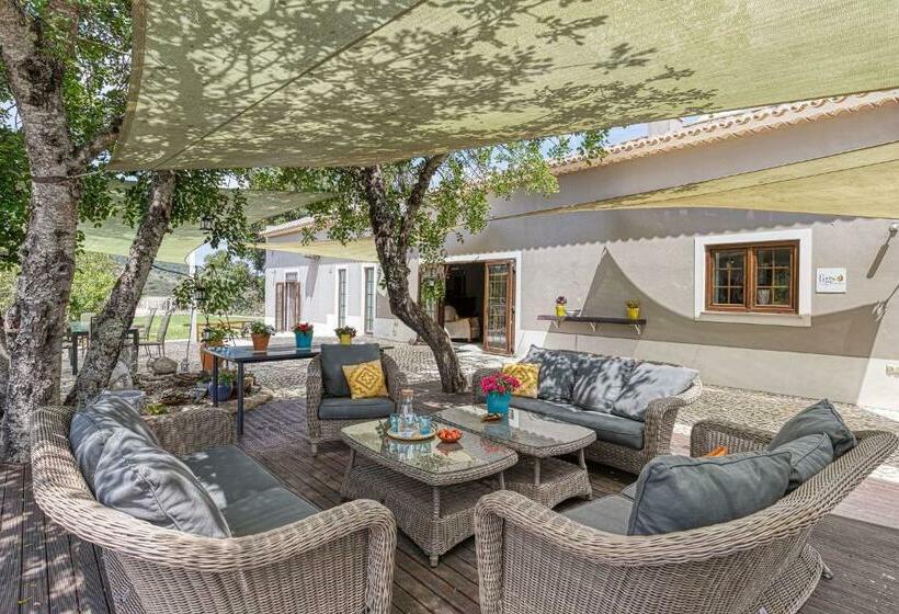 بنسيون Figs On The Funcho Self Catering   A River Side Location