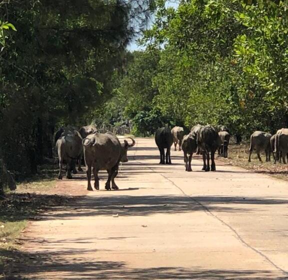 Пансион Fisherman Guesthouse