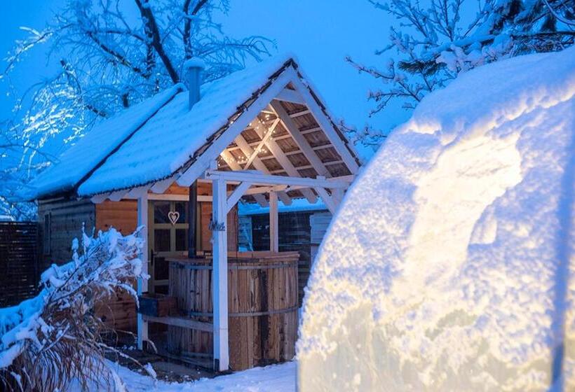 بنسيون Green Chalet