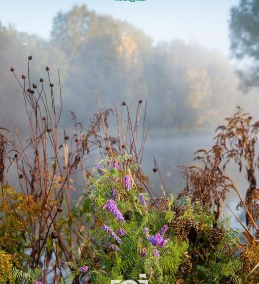 بنسيون Green Chalet