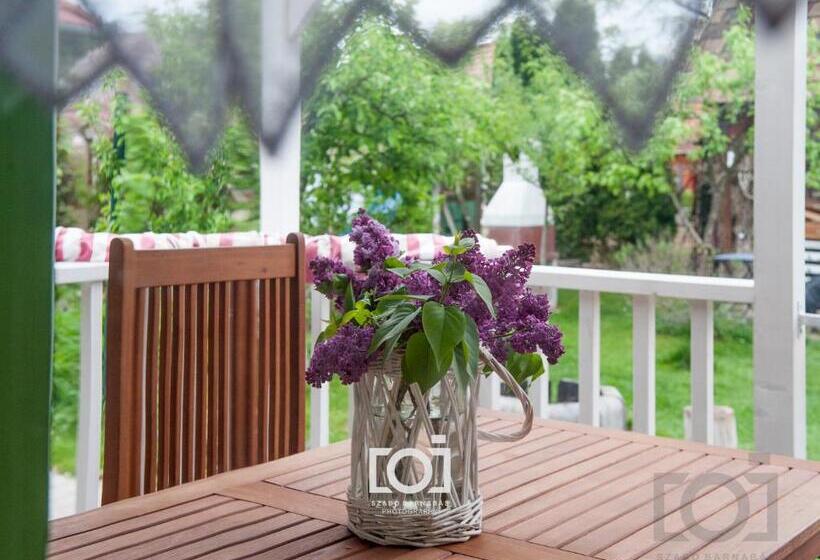 بنسيون Green Chalet