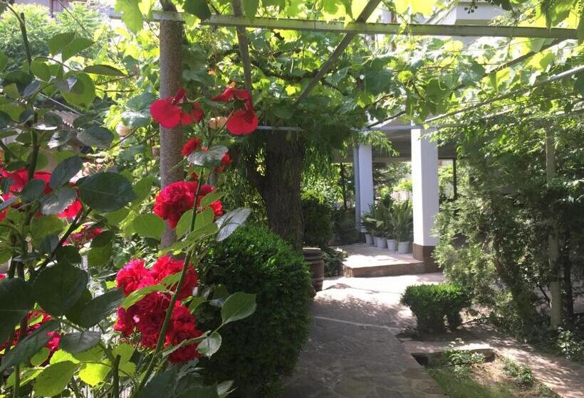 بنسيون Guest House Barbov
