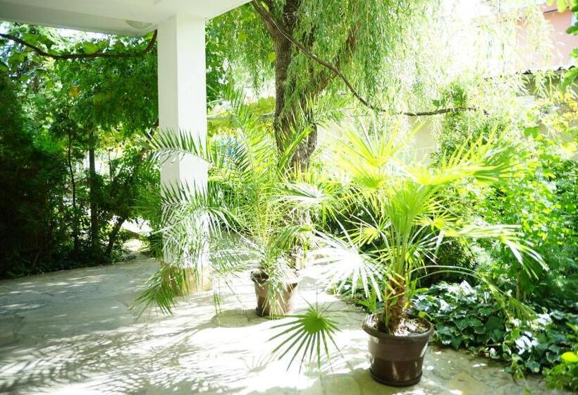 بنسيون Guest House Barbov