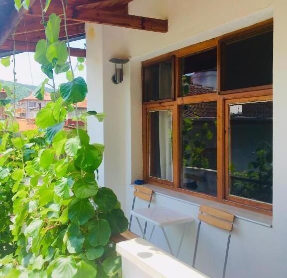 بنسيون Guest House Barbov