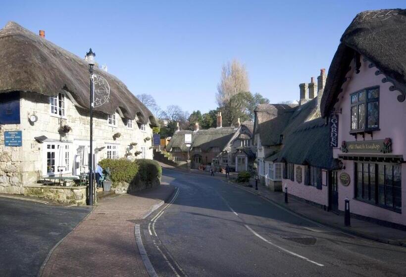 פנסיון Hayes Barton