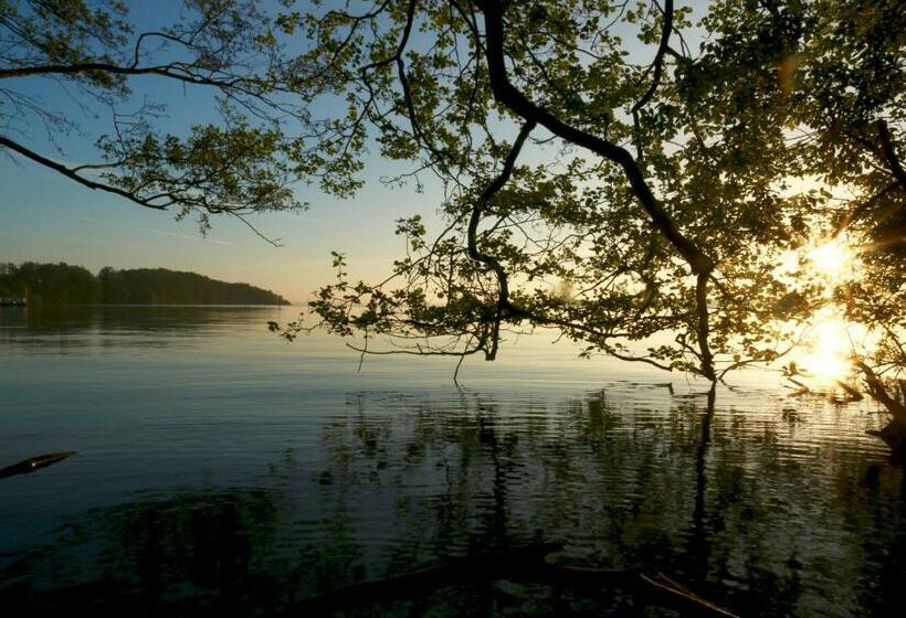 פנסיון To Freden Sien