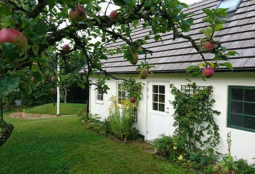 Пансион Lillan