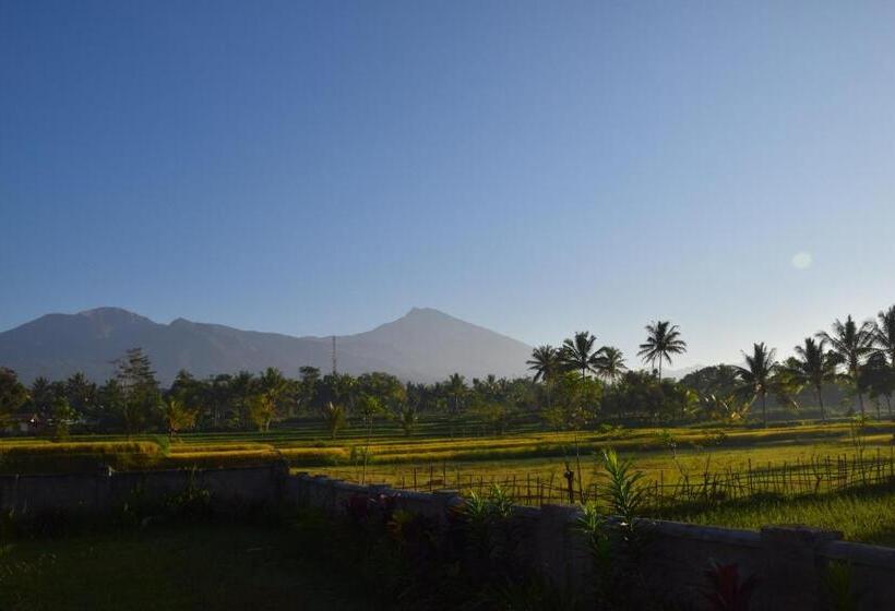 ペンション Pondok Tetebatu Cottages And Cafe