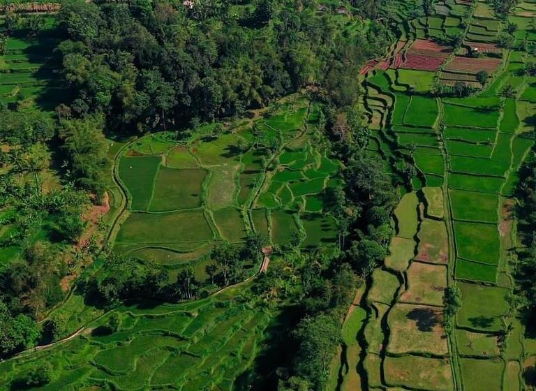 ペンション Pondok Tetebatu Cottages And Cafe