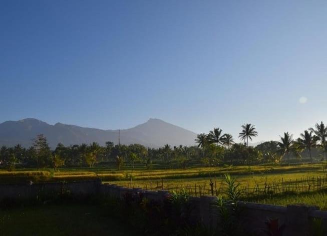 ペンション Pondok Tetebatu Cottages And Cafe