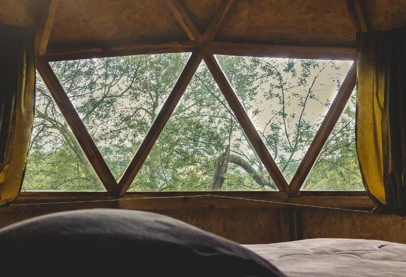 פנסיון Quinta De Fagua