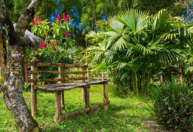 بنسيون Secretos Del Eden