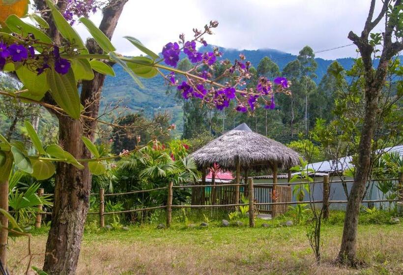 بنسيون Secretos Del Eden