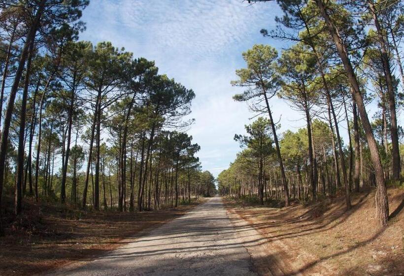 بنسيون Ticket2surf