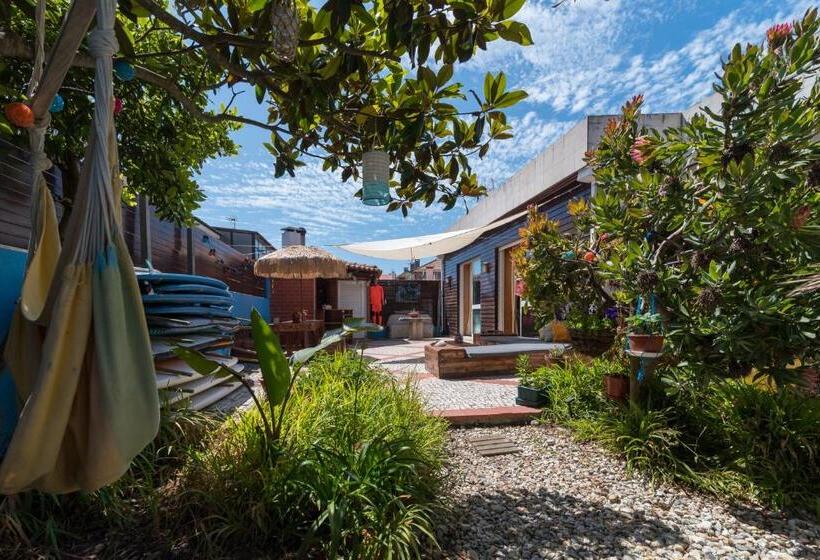 بنسيون Ticket2surf