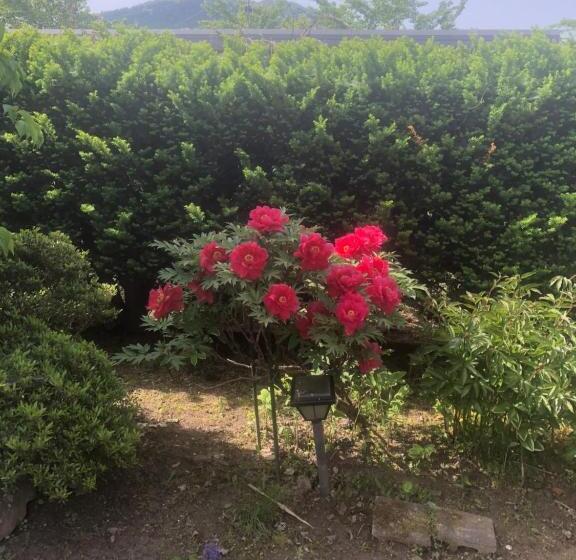 Пансион 民宿とまとハウスtomato House