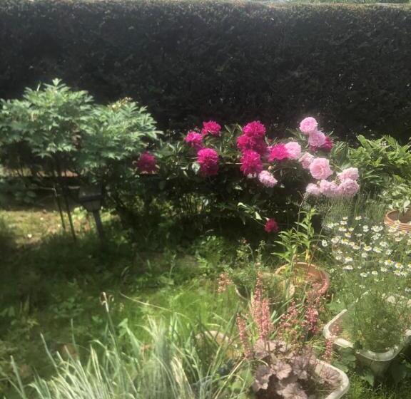 Пансион 民宿とまとハウスtomato House