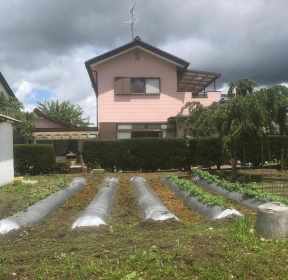 Пансион 民宿とまとハウスtomato House