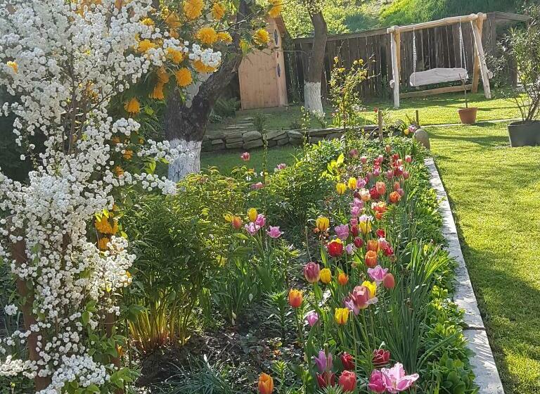 פנסיון Villa Rihuini Eco Wine House Transylvania