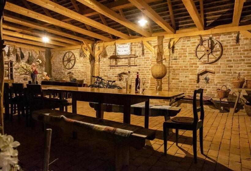 פנסיון Villa Rihuini Eco Wine House Transylvania