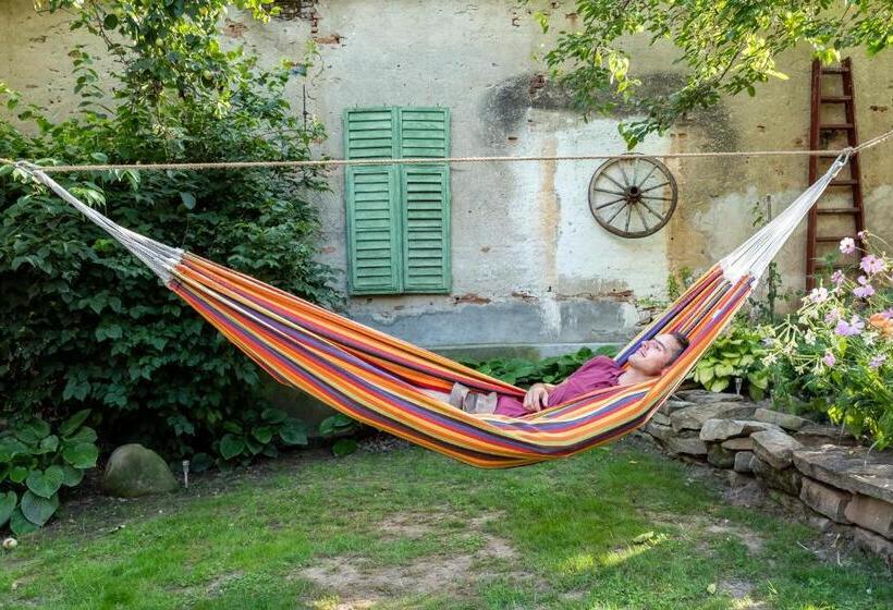 פנסיון Villa Rihuini Eco Wine House Transylvania