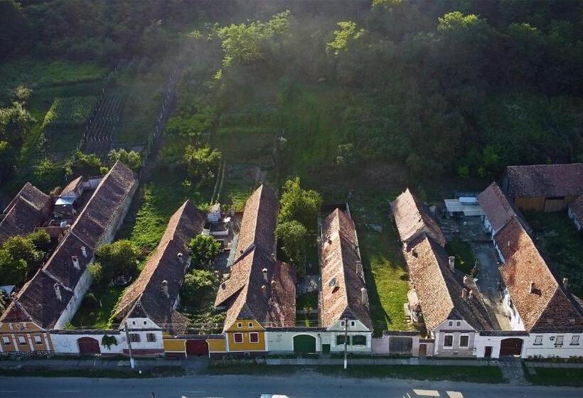 פנסיון Villa Rihuini Eco Wine House Transylvania