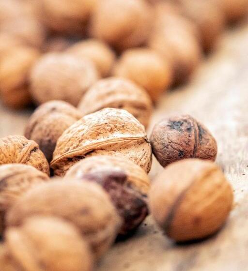 פנסיון Villa Rihuini Eco Wine House Transylvania