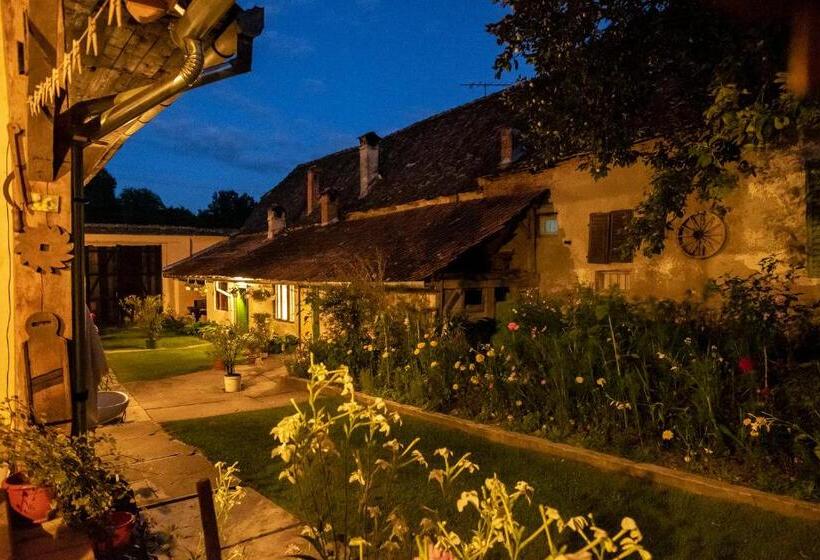 פנסיון Villa Rihuini Eco Wine House Transylvania