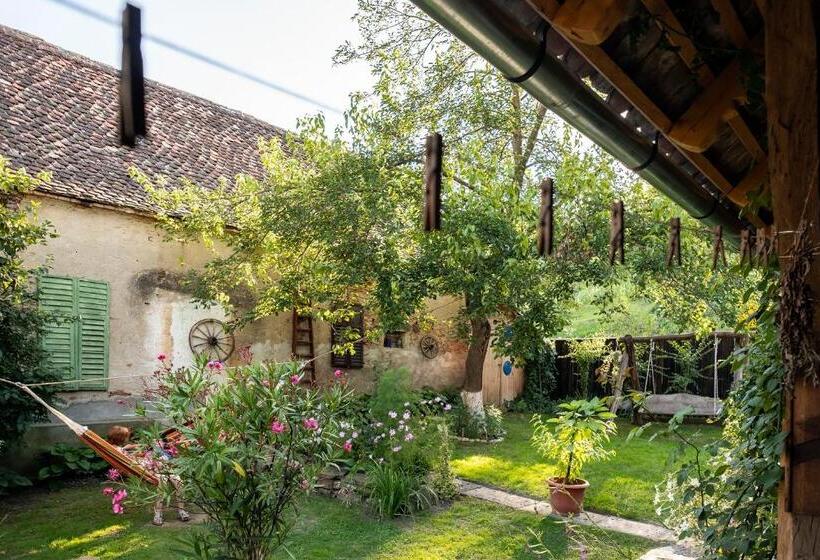 פנסיון Villa Rihuini Eco Wine House Transylvania