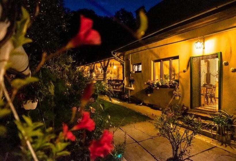 פנסיון Villa Rihuini Eco Wine House Transylvania