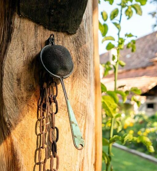 פנסיון Villa Rihuini Eco Wine House Transylvania