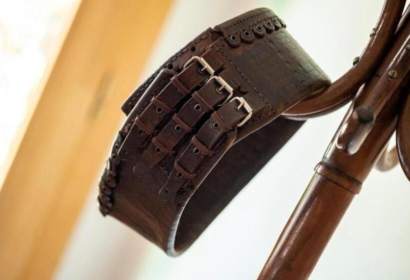 بنسيون Villa Rihuini Eco Wine House Transylvania