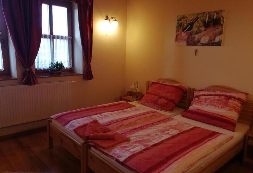 펜션 Vitis Vendégház