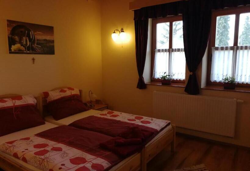 펜션 Vitis Vendégház