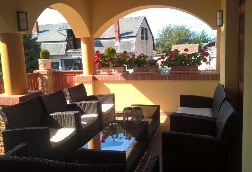 펜션 Vitis Vendégház