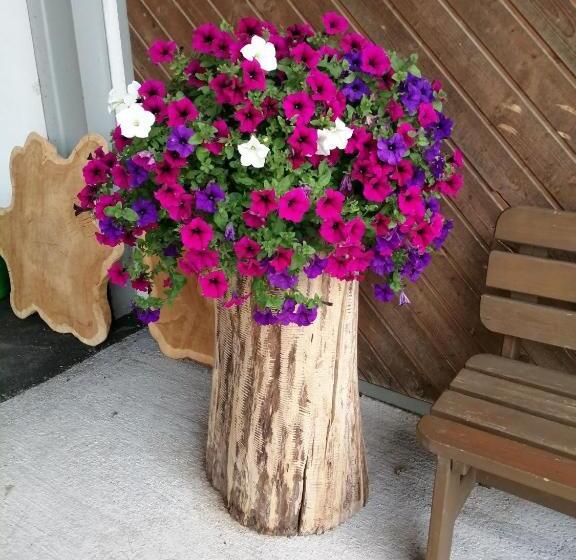 פנסיון Wohlfühlhof Bachzelt