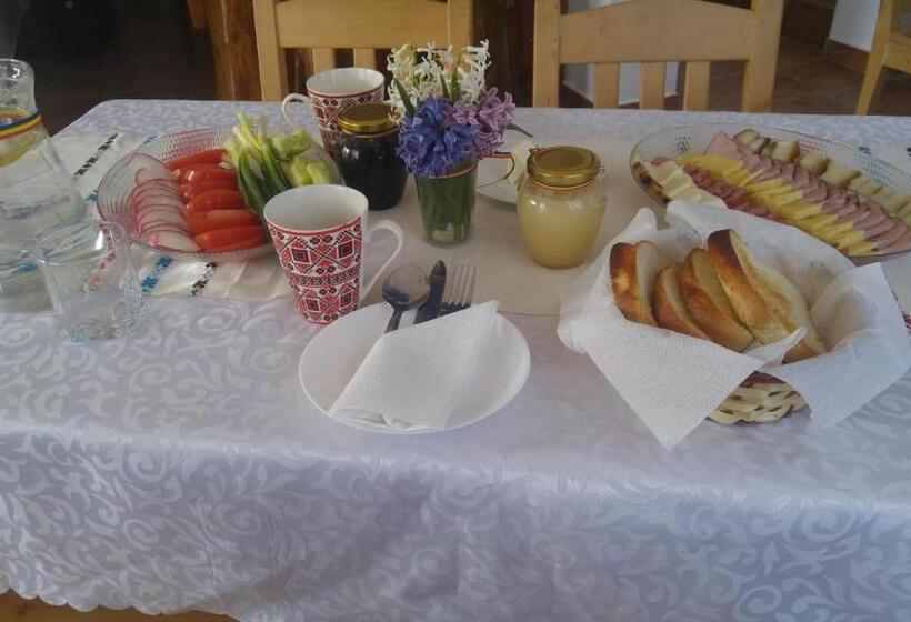 Pensiunea Casa Vanatorului