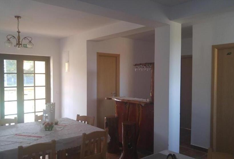 Pensiunea Casa Vanatorului