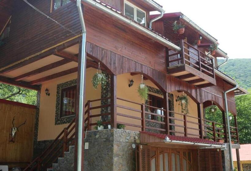 Pensiunea La Busu  Bigar